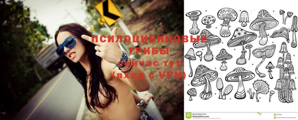 марки lsd Белокуриха