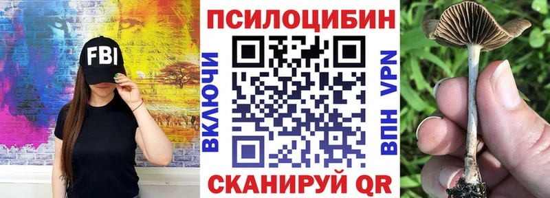 Псилоцибиновые грибы MAGIC MUSHROOMS  Вуктыл 